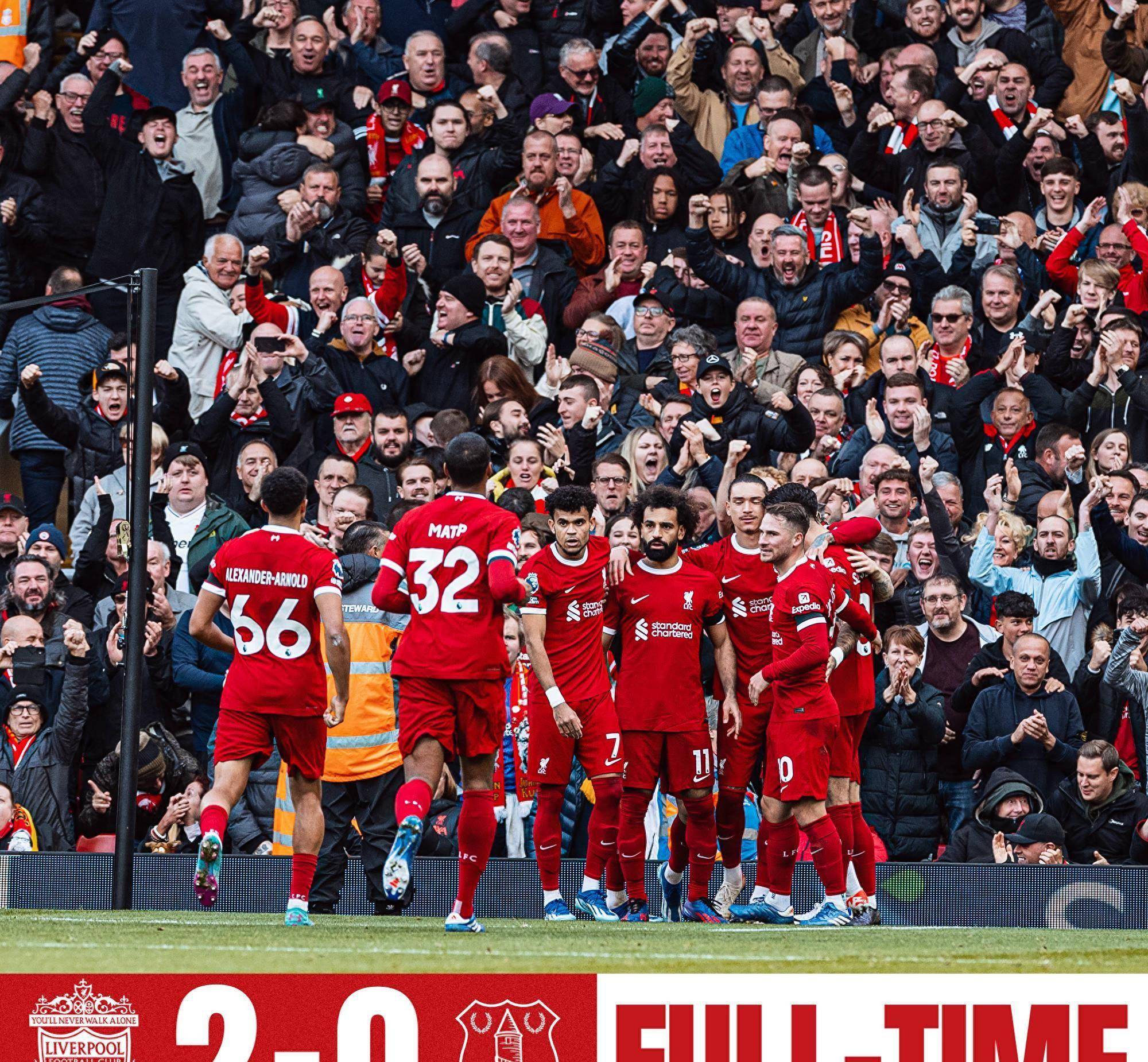 内容生态 内容生态